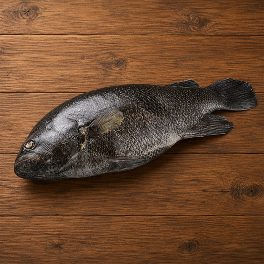 Black Snapper Karipetti