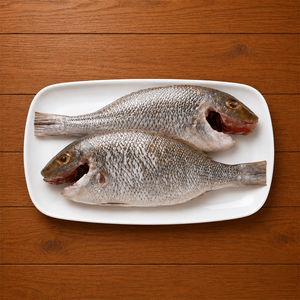 Emperor Fish