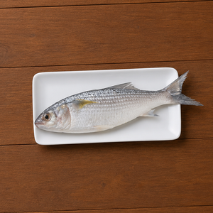 Grey Mullet Thirutha