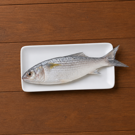 Grey Mullet Thirutha