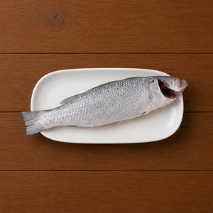 Grey Mullet Thirutha