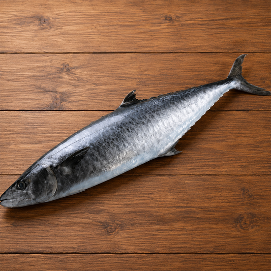 KingFish Neymeen