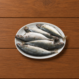 Mackerel Ayala
