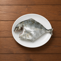 Silver Trevally