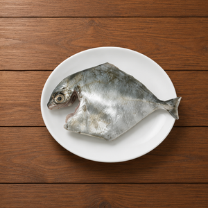 Silver Trevally